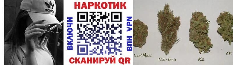 Где купить наркоту Карачев Псилоцибиновые грибы Cocaine ГАШИШ Меф МАРИХУАНА A-PVP
