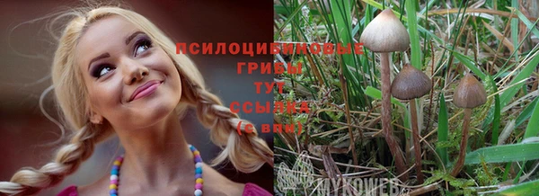 а пвп мука Снежногорск