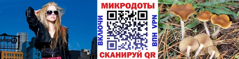 Псилоцибиновые грибы прущие грибы  купить   Карачев 